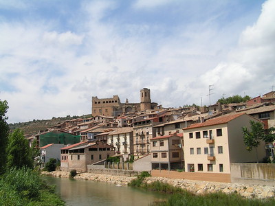 tan buildings near river