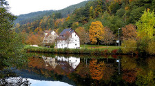 Germany: How to explore the Black Forest on a budget