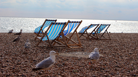 Brighton