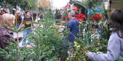 Barcelona: The Christmas Market at the Barcelona Cathedral