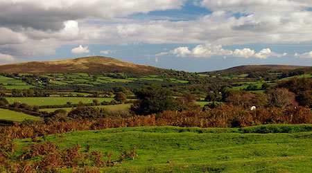Devon