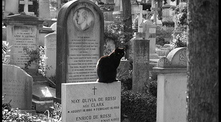 English Cemetery