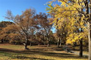 The best time to visit New York City on a budget