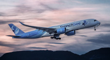 French bee airline launches budget flights to Paris from Newark