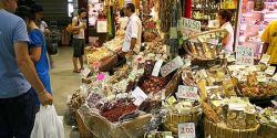 Florence Cheap Eats: Two delicious lunch options