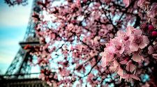 9 ways to celebrate the spring in Paris this year