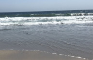 Budget travel guide to Zuma Beach, California